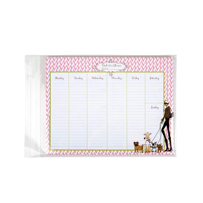 Plastic Zakken 22,9x30,5cm Transparant en Hersluitbaar (250 stuks) [VL912]