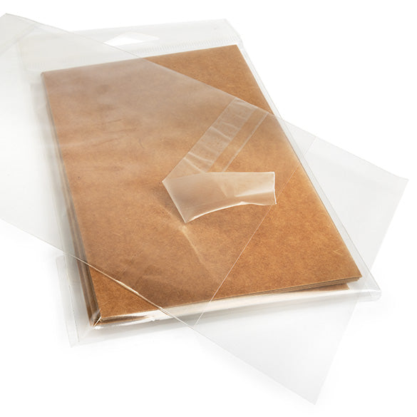Headerbags 10,3x13,7cm met beschermende Sluiting (100 stuks) [HB4B1PC]