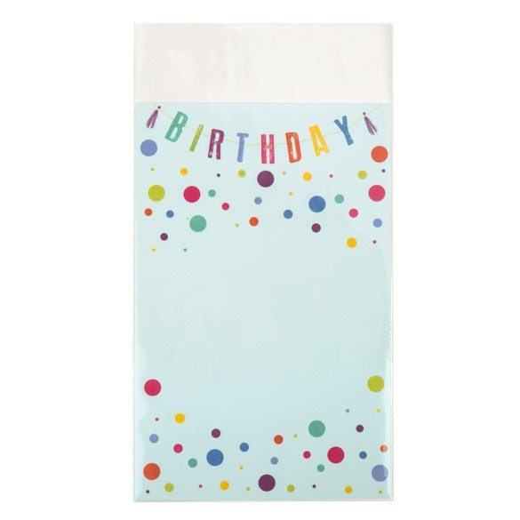 Plastic Zakken 14x26cm Gelamineerd en geen Klep (100 stuks) [LB510NF]