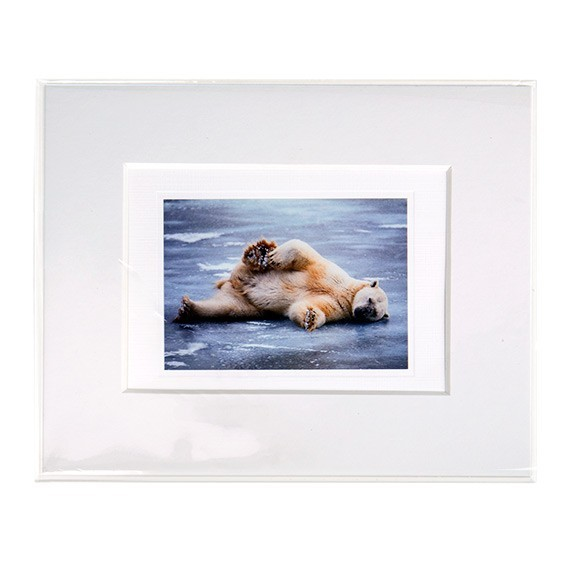 Plastic Zakken 21x26cm Transparant (250 stuks) [VL108SNF]