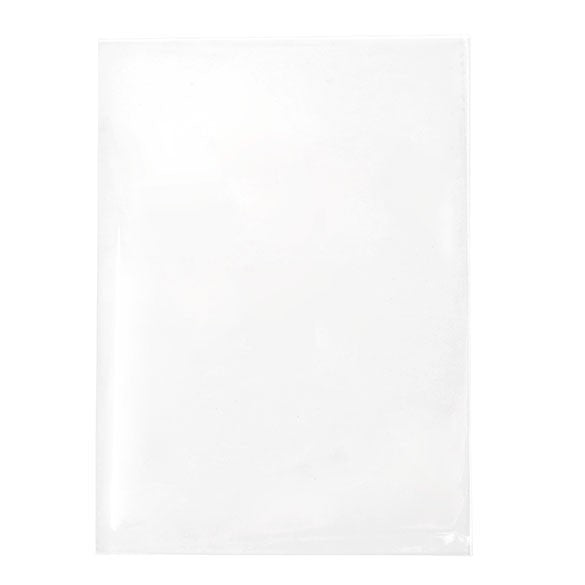 Plastic Zakken 9,7x13,5cm Transparant (250 stuks) [VL3X5NF]