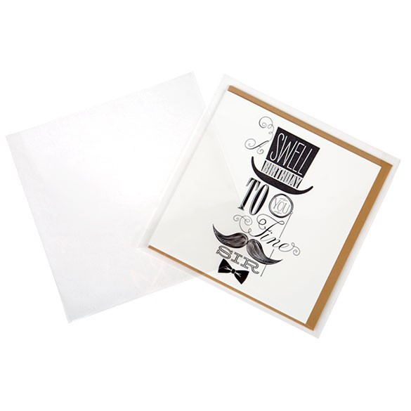 Plastic Zakken 14,9x15cm Transparant (250 stuks) [VL5X5XNF]
