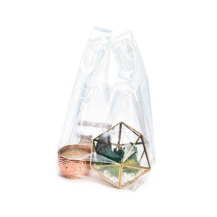 Draagtassen Transparant 25,4x25,4x54,6cm (100 stuks) [CHB3]