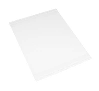 Foto Presentatiezakjes 10,5x15,5cm (100 stuks) [CPM4X6S]