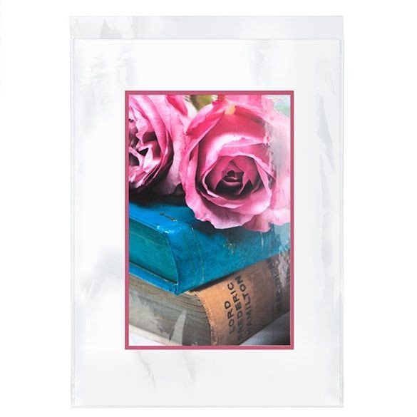 Plastic Zakken 46,8x61,6cm Transparant en Hersluitbaar (100 stuks) [B18PC]