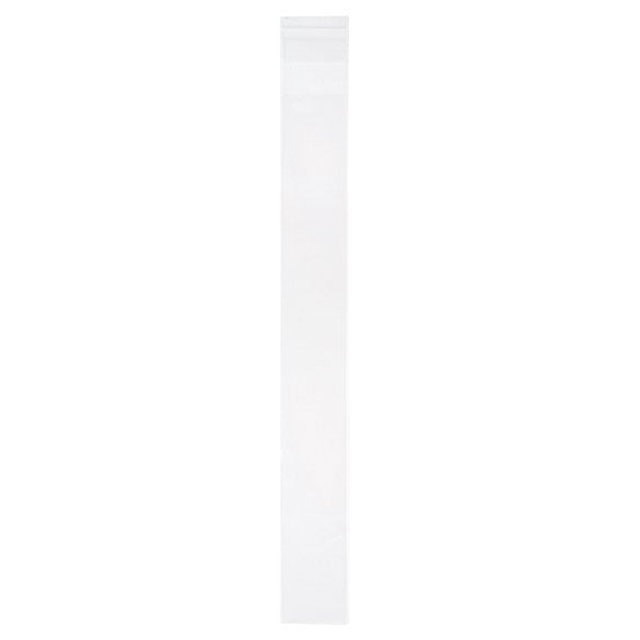 Plastic Zakken 2,5x20,3cm Hersluitbaar (100 stuks) [B1X8]