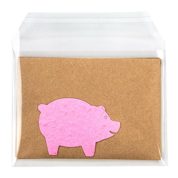 Plastic Zakken 14,4x10,8cm Transparant en Hersluitbaar (100 stuks) [B45SCT]