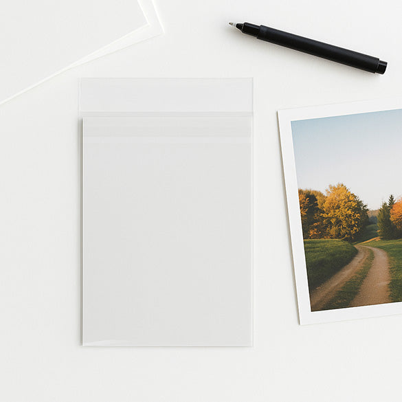 Plastic Zakken 10,8x15,6cm Premium met beschermende Sluiting (100 stuks) [PR4X6]