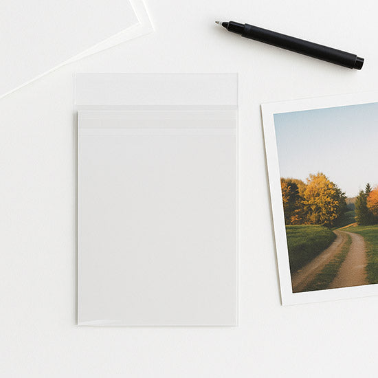 Plastic Zakken 10,8x15,6cm Premium met beschermende Sluiting (100 stuks) [PR4X6]