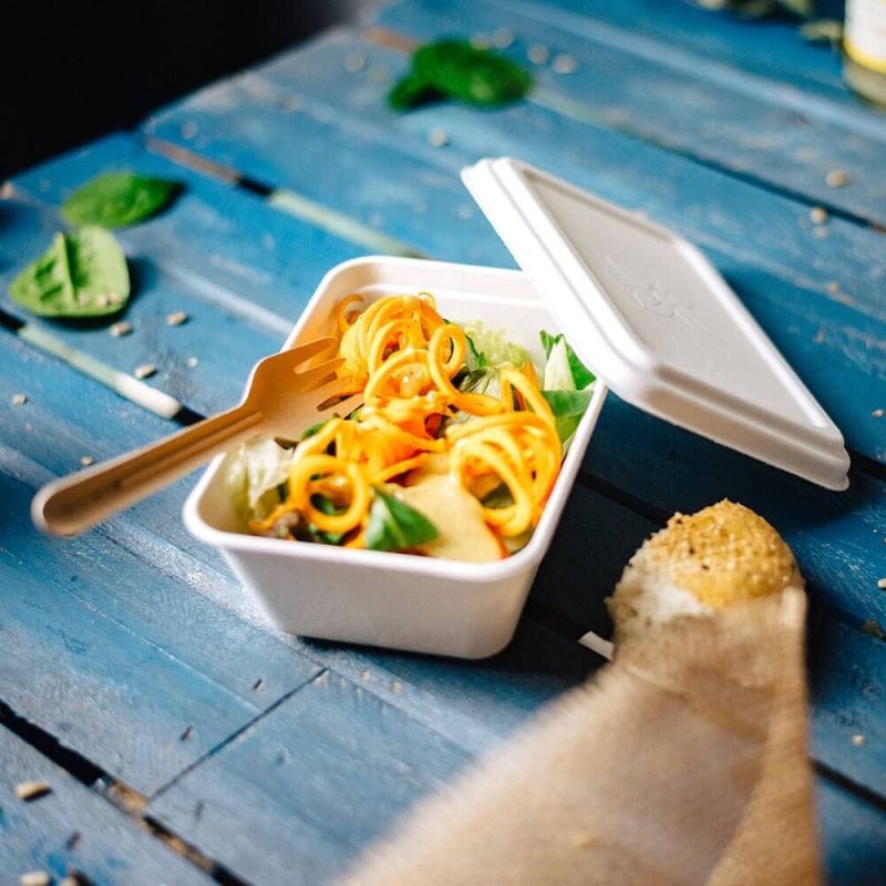 Schaal Suikerriet 17x12x5 cm, 500 ml (1.000 stuks) [GB-DFC01217]