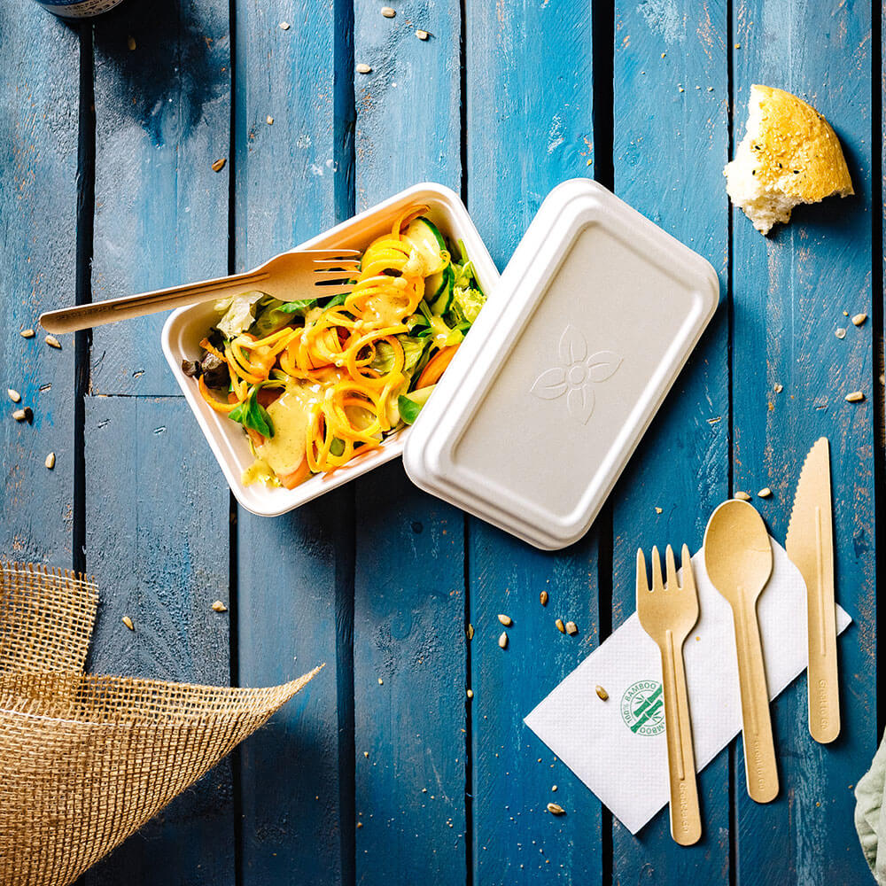 Schaal Suikerriet 17x12x6 cm, 650 ml (500 stuks) [GB-DFC01226]