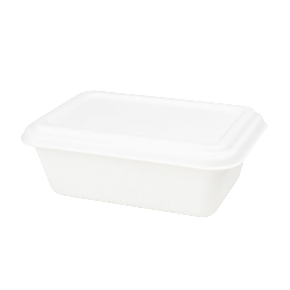 Schaal Suikerriet 17x12x6 cm, 650 ml (500 stuks) [GB-DFC01226]