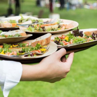 Bord Palmware® Ø 25 cm, rond (200 stuks) [GB-DTW05370]