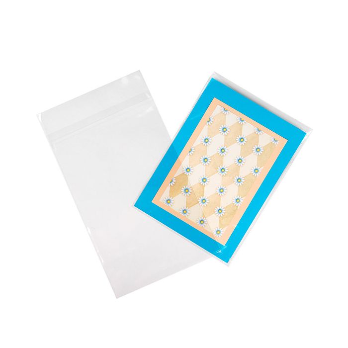 Zakken Mileuvriendelijk ECO 15.2 x24.1 cm met Beschermende Sluiting (100 stuks) [GC69HPC]