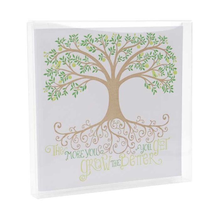 Plastic Doosjes 13x1,6x12,9cm Kristalhelder (25 stuks) [FB11]