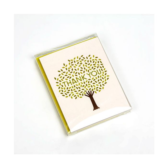 Plastic Doosjes 11.4x1.6x14.9 cm Kristalhelder (25 stuks [FB3]