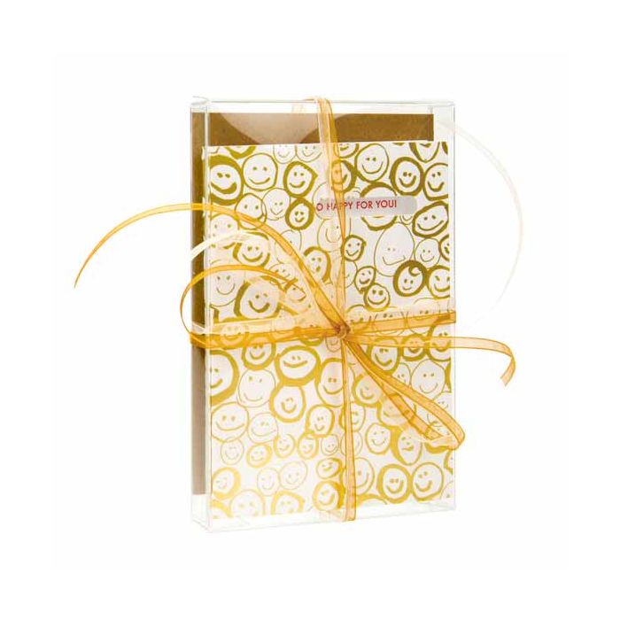 Plastic Doosjes 9,2x1,6x14,3cm Kristalhelder (25 stuks) [FB33]