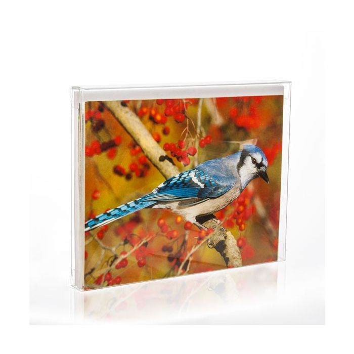 Plastic Doosjes 11,4x1,3x14,9cm Kristalhelder (25 stuks) [FB6]