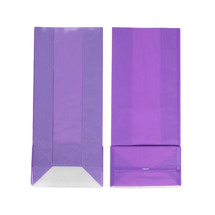 Blokbodemzakken Neon Paars 12,7x7,6x30,5 cm met Papieren kaart (100 stuks) [FGPB1NP]