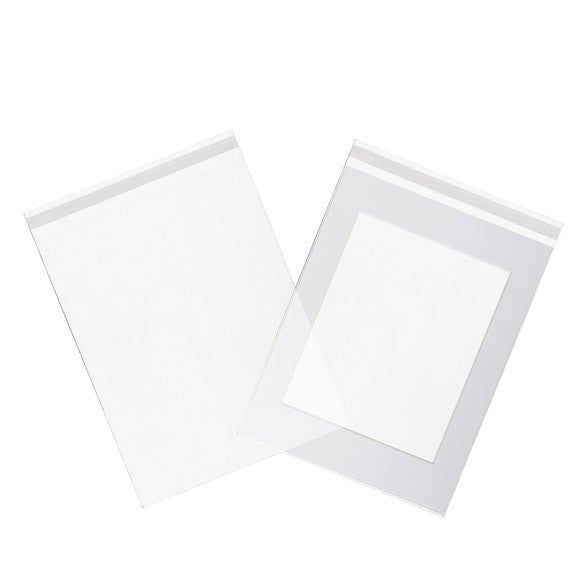 Plastic Zakken 26,5x33,7cm Transparant en Hersluitbaar (100 stuks) [B10X13]