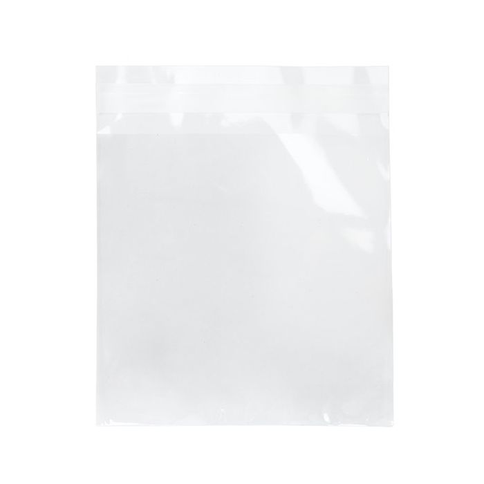 Plastic zakken 14x14cm Transparant en Hersluitbaar (100 Stuks) [B5H5H]