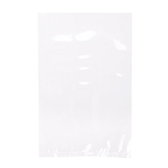 Plastic Zakken 10,2x15,2cm Helder Polypropyleen (100 stuks) [FP146]