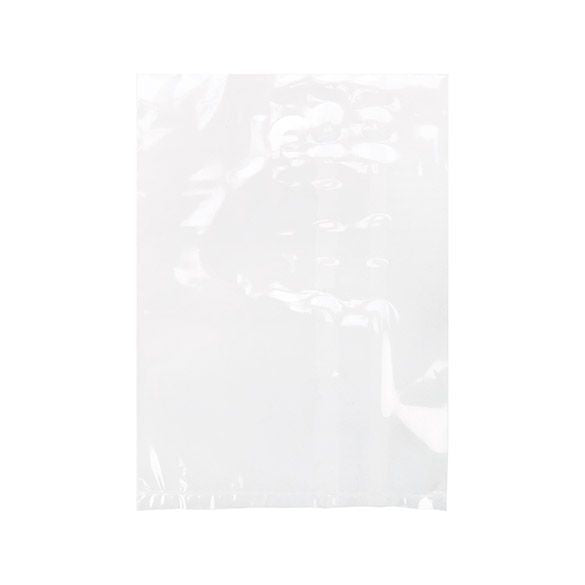 Plastic Zakken 15,2x20,3cm Helder Polypropyleen (100 stuks) [FP168]