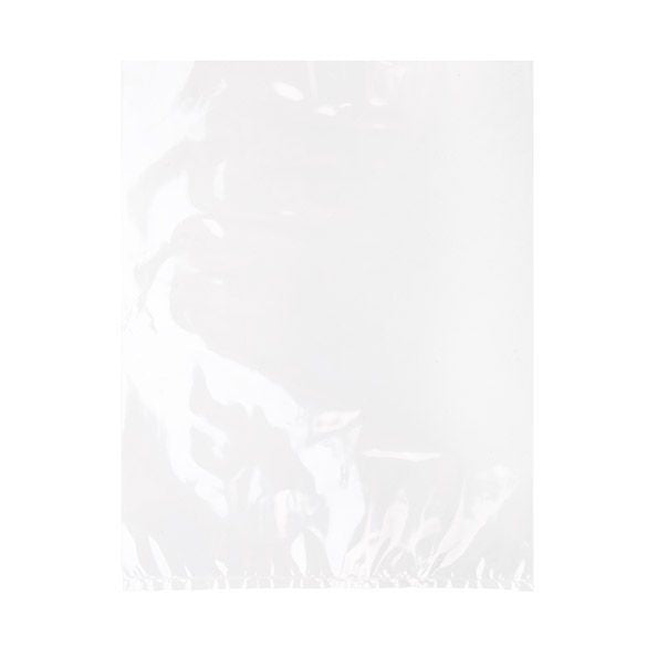 Plastic Zakken 20,3x25,4cm Helder Polypropyleen (100 stuks) [FP1810]