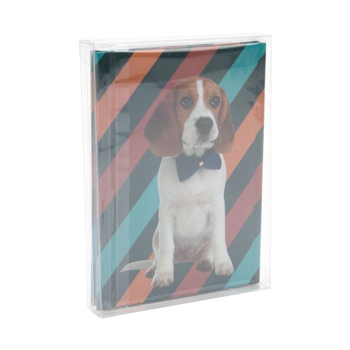 Plastic Doosjes 13x2,5x18,1cm Kristalhelder (25 stuks) [FPB168]