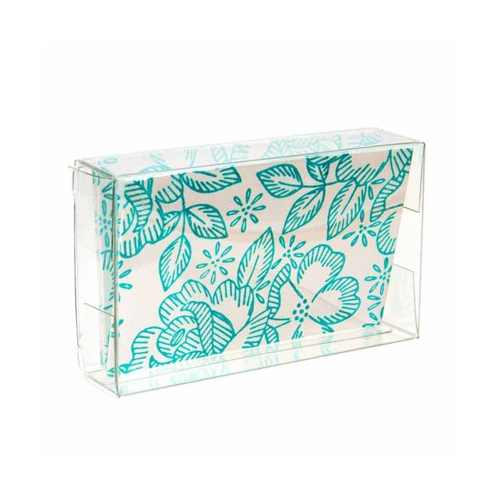 Plastic Doosjes 5,4x2,1x9,2cm Kristalhelder (25 stuks) [FPB36]