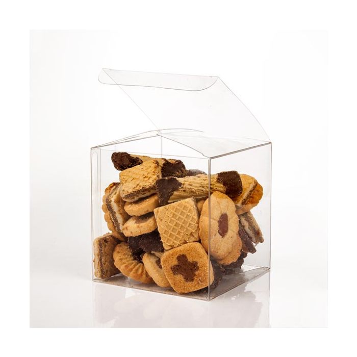 Plastic Doosjes 10,2x10,2x10,2cm Autolock Bodem (25 stuks) [FPLB56]