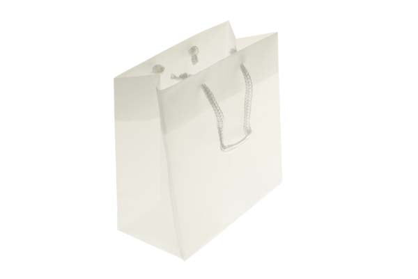 Geschenktassen 16x7,6x16cm met Draagkoorden (10 stuks) [G66FT1]