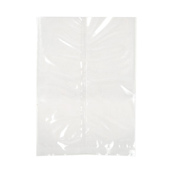 Plastic Zakken 15,2x20,3cm 30 Micron Sealbaar d.m.v. warmte (100 stuks) [SFB68]