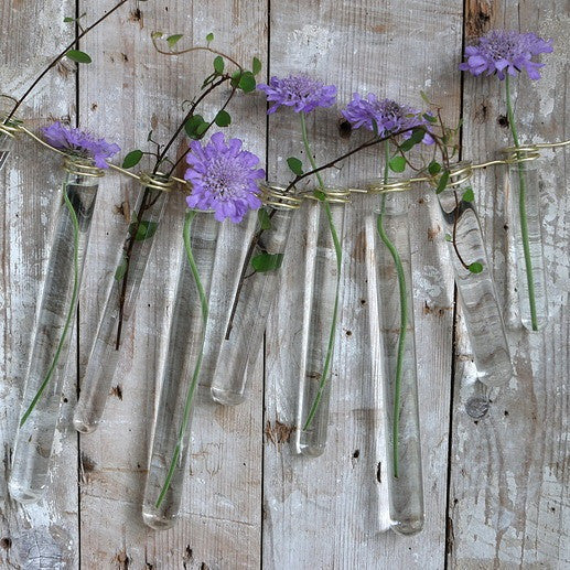 Glazen reageerbuis 1,5 cm diameter 10 cm hoog, met ring (set van 12 stuks) [IFS-29201]