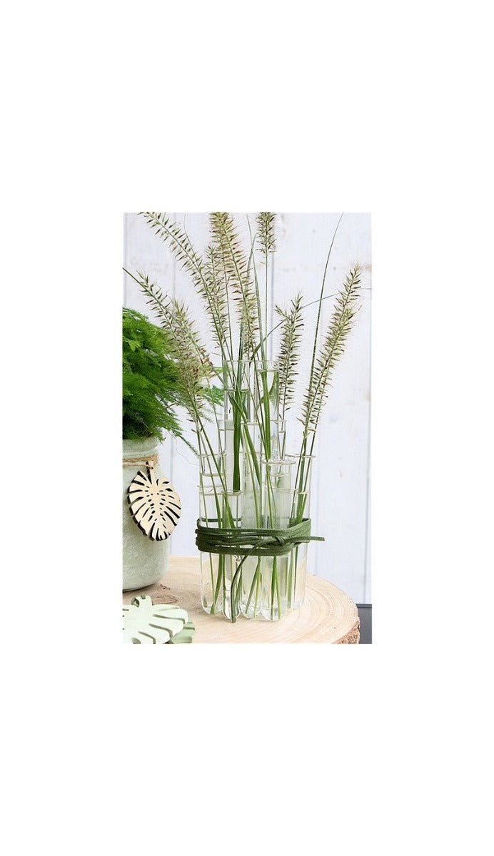 Glazen reageerbuis 2cm diameter 20cm hoog, met ring (set van 12 stuks) [IFS-29203]