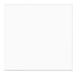 Plastic Zakken 13,2x12,9cm Transparant (100 stuks) [B5X5SNF]