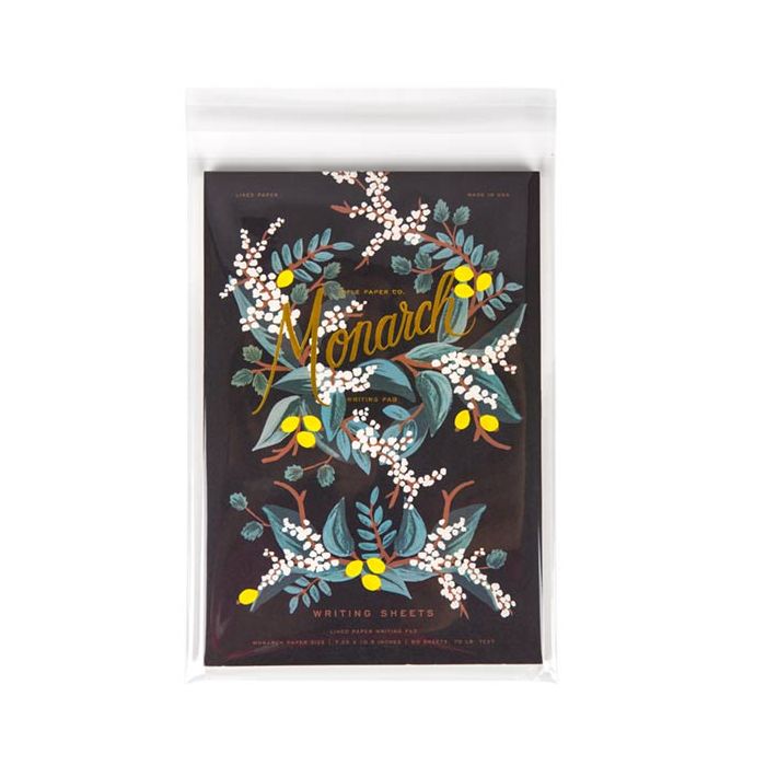 Plastic Zakken 21.3x30.3cm Transparant en Hersluitbaar (100 stuks) [KO-30159]