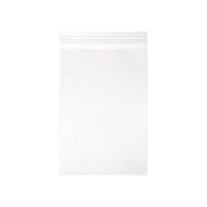 Plastic Zakken 21.3x30.3cm Transparant en Hersluitbaar (100 stuks) [KO-30159]
