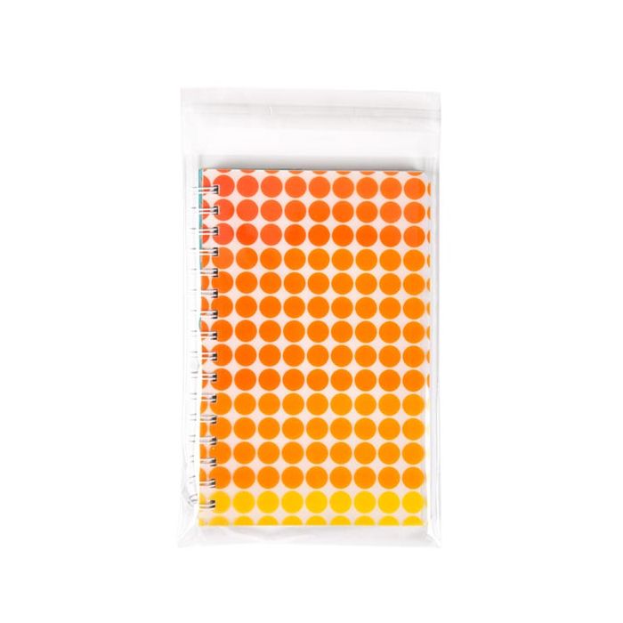 Plastic Zakken 16.7x23cm Transparant en Hersluitbaar (100 stuks) [KO-30170]