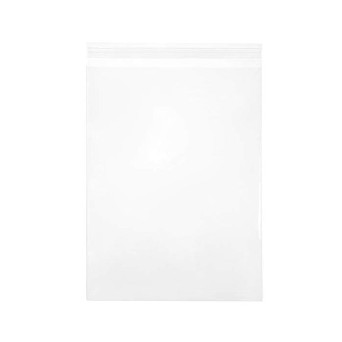 Plastic Zakken 23.4x32.5cm Transparant en Hersluitbaar (100 stuks) [KO-30174]