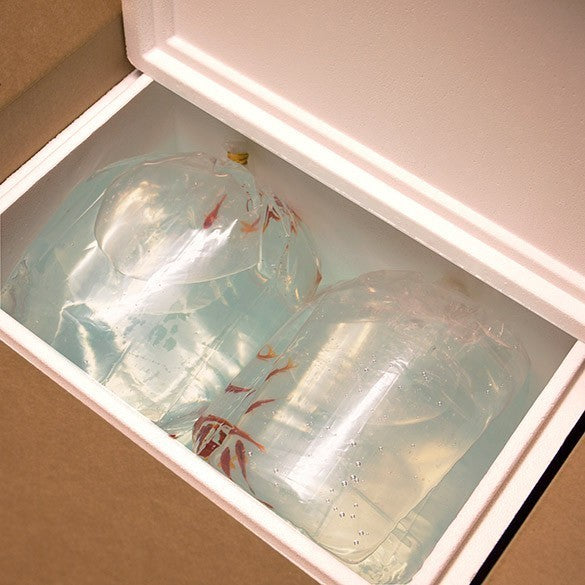 Blokbodemzakken Zware Kwaliteit 39,4x36,8x62,2cm (100 stuks) [3GSBW5]