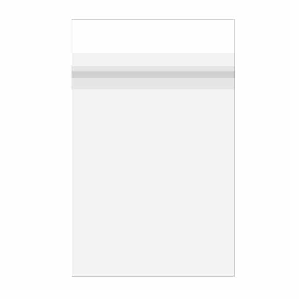 Plastic Zakken 15,3x22,9cm Premium, Gelamineerd met beschermende Sluiting (100 stuks) [PL6X9S]