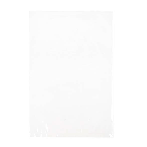 Plastic Zakken 20,3x30,5cm Helder Polypropyleen (100 stuks) [FP1H812]