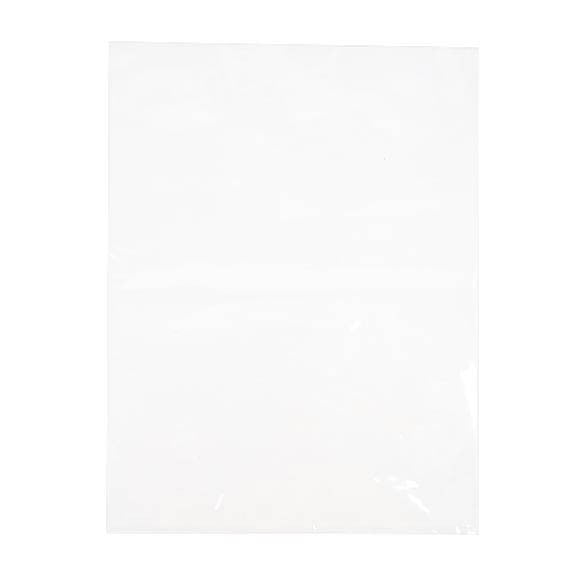 Plastic Zakken 22,9x30,5cm Helder Polypropyleen (100 stuks) [FP1H912]