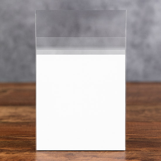 Plastic Zakken 8,5x13,1+3,8cm Premium met beschermende Sluiting (100 stuks) [PR3]