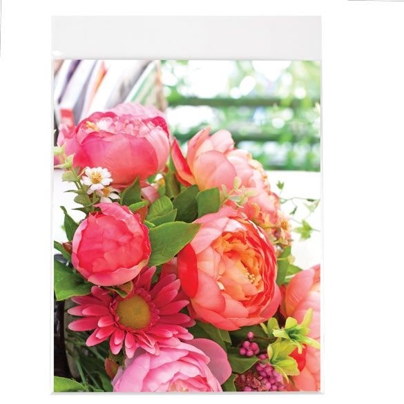 Plastic Zakken 21,4x22,7cm Transparant en Hersluitbaar (100 stuks) [B108SPC]