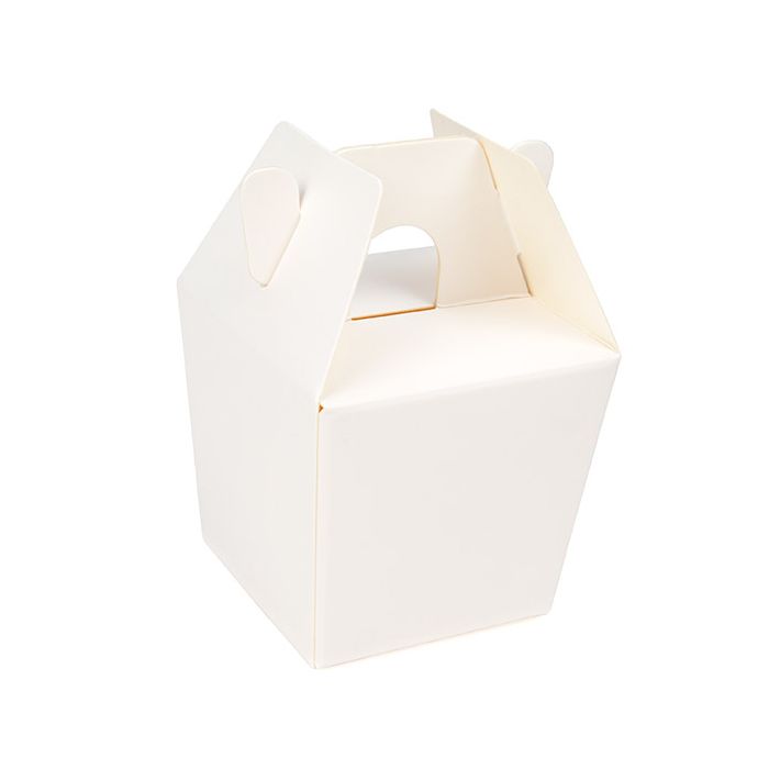 Witte Takeaway Doos 6x5.1x5.4 cm (25 stuks) [FS382]