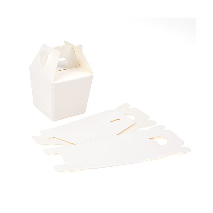 Witte Takeaway Doos 6x5.1x5.4 cm (25 stuks) [FS382]