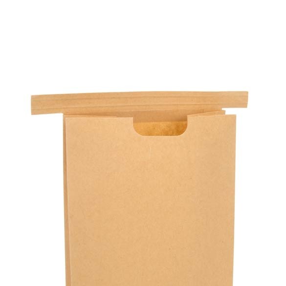 Zakken Kraft Bruin met Sluiting 10,8x6,4x26,7cm (100 stuks) [TTW2K]