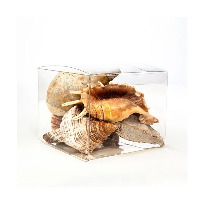 Plastic Doosjes 12,7x12,7x10,2cm Kristalhelder (50 stuks) [VB308]